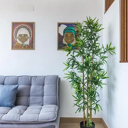 Home2book Charming Sea Side Las Canteras Las Palmas de Gran Canaria